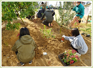 大橋小学校