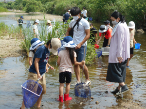 水質、生き物調査