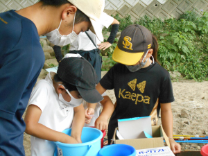 水質、生き物調査