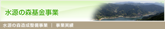 水源の森造成整備事業 │ 事業実績