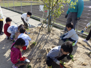すばるこども園小郡市