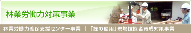 林業労働力確保支援センター事業 ｜ 「緑の雇用」現場技能者育成対策事業