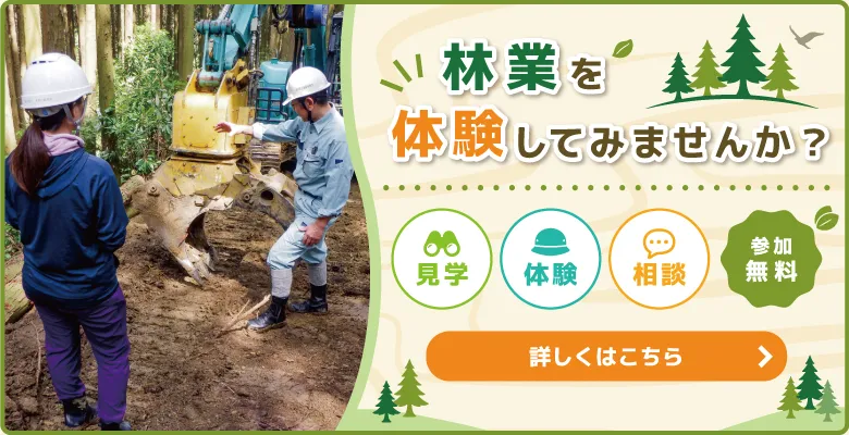 林業への就業を志すあなたへ