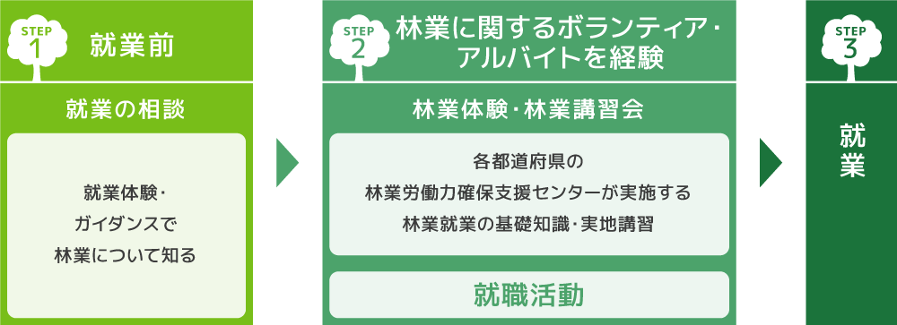 就業までの流れ