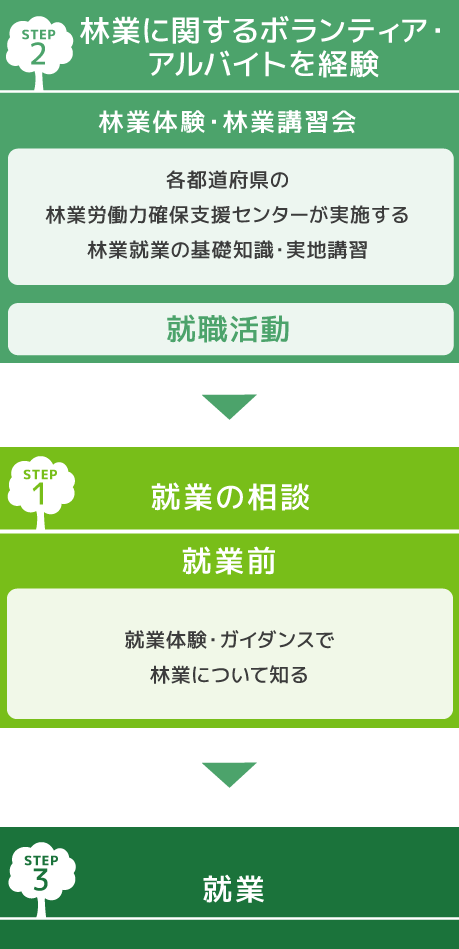 就業までの流れ