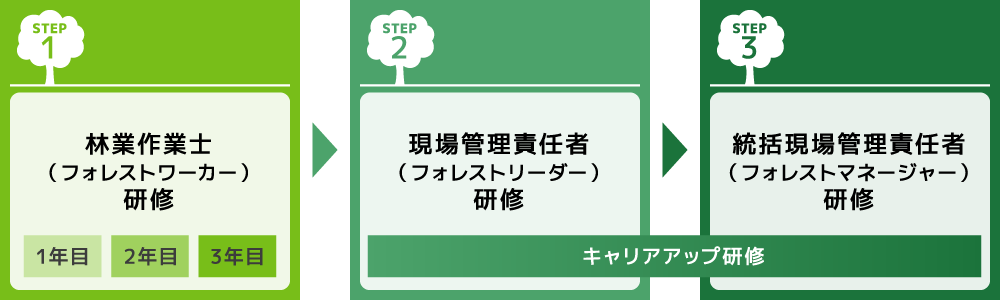 「緑の雇用」キャリアパスのイメージ