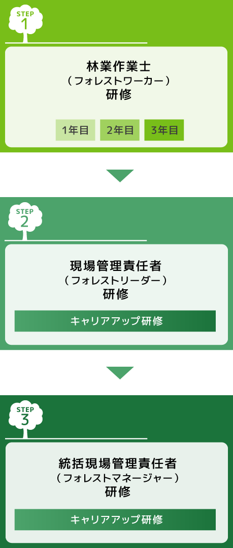 「緑の雇用」キャリアパスのイメージ