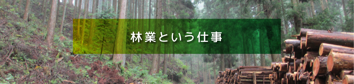 林業という仕事