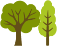樹木のイメージ