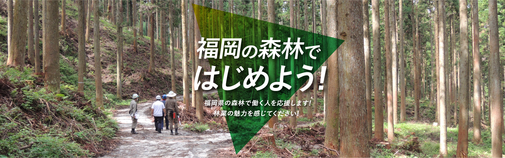 福岡の森林ではじめよう!　福岡県の森林で働く人を応援します!林業の魅力を感じてください!