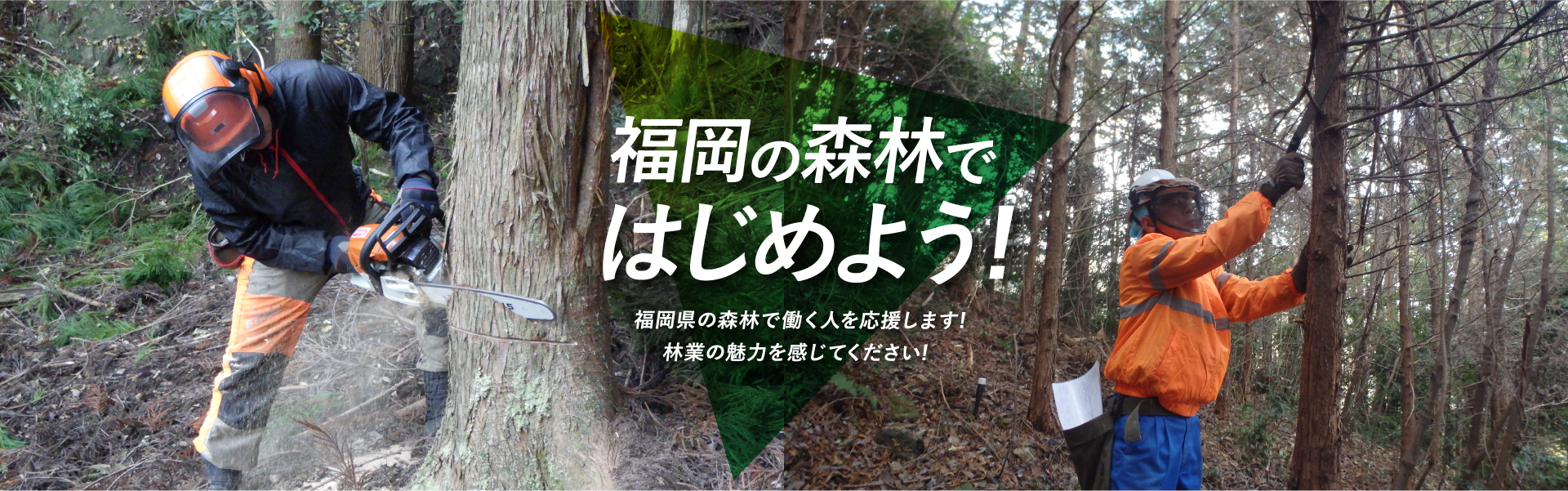 福岡の森林ではじめよう!　福岡県の森林で働く人を応援します!林業の魅力を感じてください!