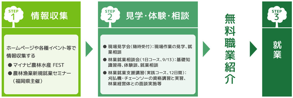 就業までの流れ