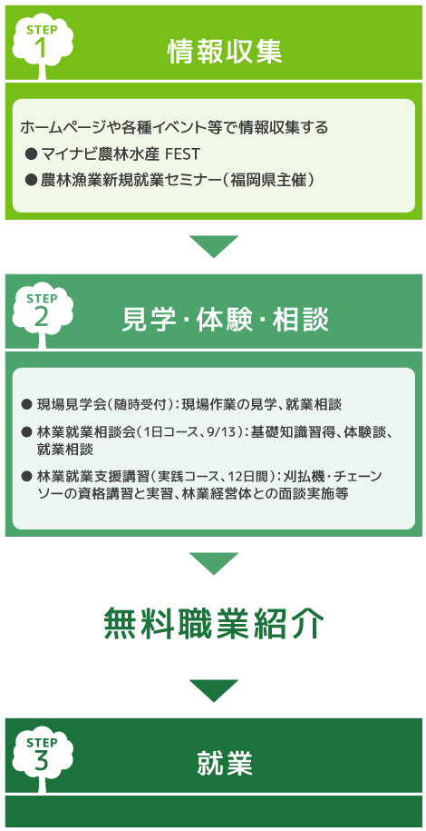 就業までの流れ
